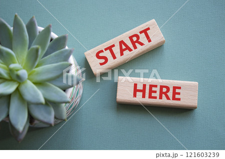 Start here symbol. Wooden blocks with words Start here Beautiful grey green background with succulent plant. Business and Start here concept. Copy space. 121603239