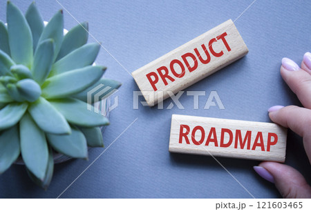 Product Roadmap symbol. Concept word Product Roadmap on wooden blocks. Businessman hand. Beautiful grey background with succulent plant. Business and Product Roadmap concept. Copy space 121603465