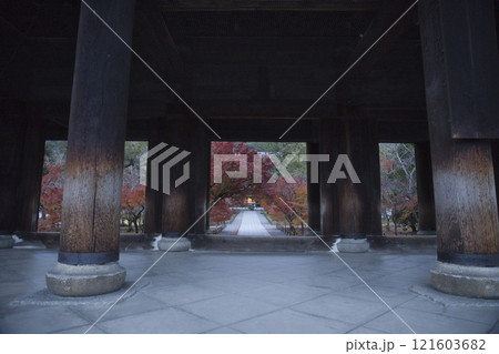 南禅寺　山門から望む参道の紅葉と法堂2 121603682