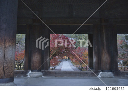 南禅寺　山門から望む参道の紅葉と法堂1 121603683