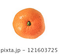 みかんの天面写真 121603725