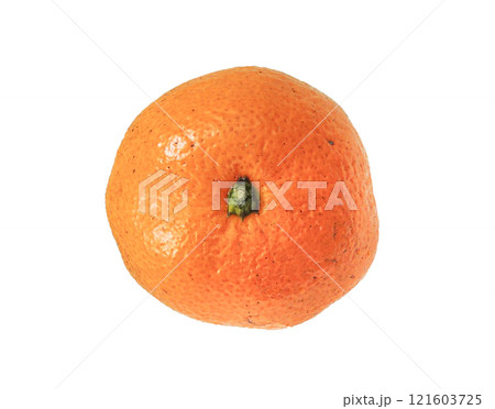 みかんの天面写真 みかんの天面写真 121603725