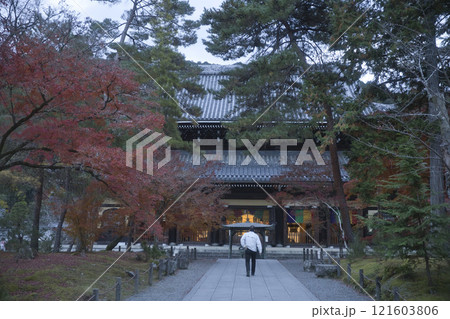 南禅寺 早朝の静寂に佇む法堂3 南禅寺 早朝の静寂に佇む法堂3 121603806