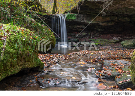 Eifel area close to Bitburg, Rhineland-Palatinate, Germany 121604689