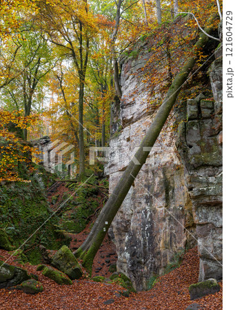 Landscape close to Treves, Eifel, Germany Landscape close to Treves, Eifel, Germany 121604729