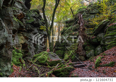 Landscape close to Treves, Eifel, Germany 121604731