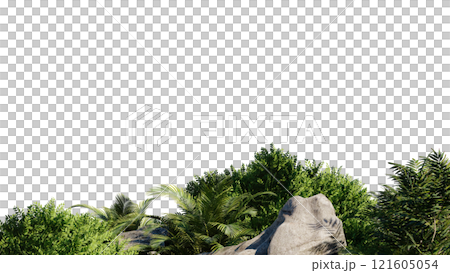 vegetation nature plant green natural environment foliage background 3d render. landscape tree jungle summer forest leaf tropical garden ecology grass. flora isolated park bush wild tropic. 121605054