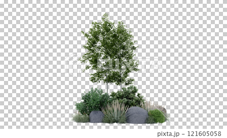 vegetation nature plant green natural environment foliage background 3d render. landscape tree jungle summer forest leaf tropical garden ecology grass. flora isolated park bush wild tropic. vegetation nature plant green natural environment foliage background 3d render. landscape tree jungle summer forest leaf tropical garden ecology grass. flora isolated park bush wild tropic. 121605058