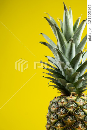 One fresh ripe pineapple fruit on a yellow background copy space for text. One fresh ripe pineapple fruit on a yellow background copy space for text. 121605166