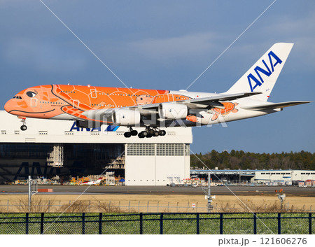ANA380飛行機の丘アブローチ ANA380飛行機の丘アブローチ 121606276