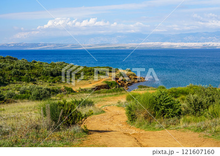 Crvenka beach, Vir, Croatia, the sand of the beach is painted with the intense red color Crvenka beach, Vir, Croatia, the sand of the beach is painted with the intense red color 121607160
