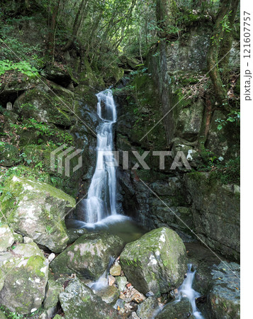 長門峡の白糸の滝 121607757