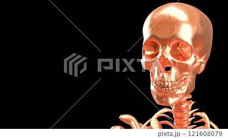 The Copper  skeleton on black background for education or sci concept 3d rendering. 121608079