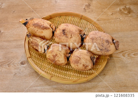 食材、れんこん、レンコン、蓮根、地下茎、ハス。 食材、れんこん、レンコン、蓮根、地下茎、ハス。 121608335