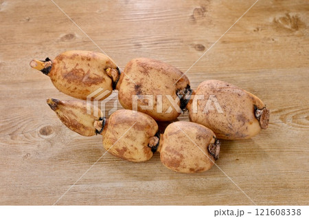 食材、れんこん、レンコン、蓮根、地下茎、ハス。 食材、れんこん、レンコン、蓮根、地下茎、ハス。 121608338