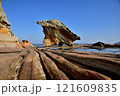 奇石-f 121609835
