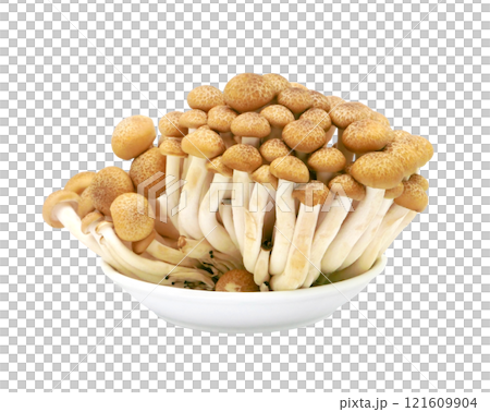 Japanese food golden needle mushroom vegetable on transparent 121609904