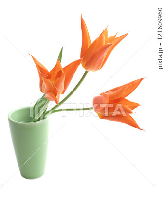 Three orange flowers in green vase on transparent background 121609960