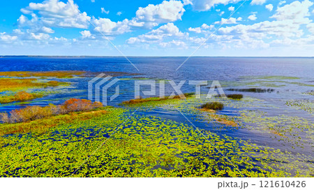 Vibrant Coastal Landscape with Lush Green Vegetation 121610426
