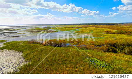 Florida grasslands and Everglades lush swamp ecosystem highlighting its beauty 121610427