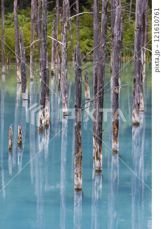 無音の美 121610761