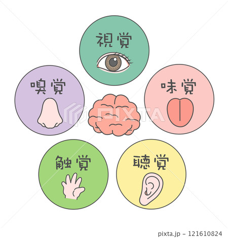 五感　脳　イラスト　アイコン　視覚　嗅覚　味覚　聴覚　触覚 121610824