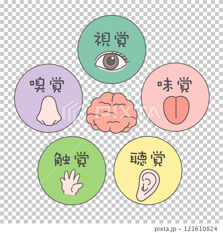 五感　脳　イラスト　アイコン　視覚　嗅覚　味覚　聴覚　触覚 121610824