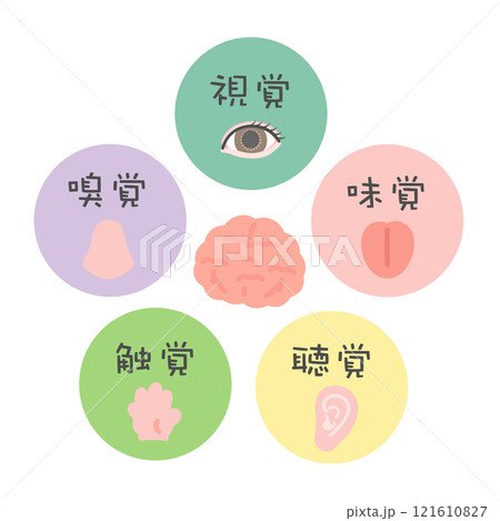 五感 脳 イラスト アイコン 視覚 嗅覚 味覚 聴覚 触覚 五感 脳 イラスト アイコン 視覚 嗅覚 味覚 聴覚 触覚 121610827