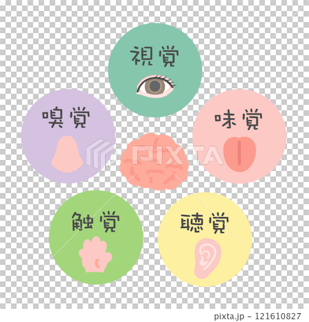 Five senses brain illustration icon sight smell taste hearing touch 121610827