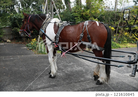 キャリッジ 乗り物 車両 121610845