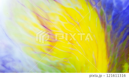 vibrant colors transitioning from yellow to purple and blue, resembling a soft and lively glass art or watercolor design 121611316