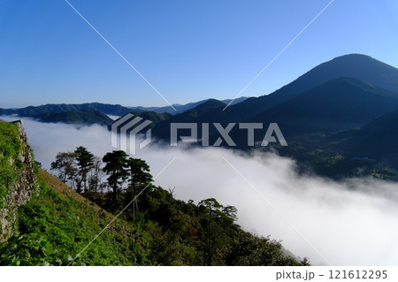 【日本100名城】秋の朝の津和野城　三十間台から見た雲海と青野山8　島根県鹿足郡津和野町 121612295