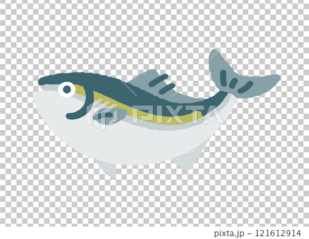 Yellowtail 121612914