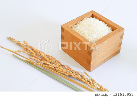 お米と稲 お米と稲 121613959