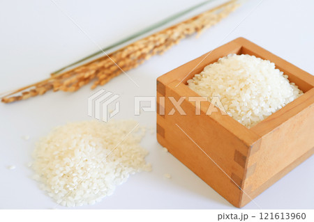 お米と稲 121613960
