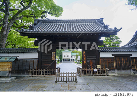 春の徳川園 春の徳川園 121613975