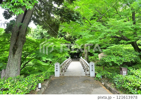 春の徳川園 121613978