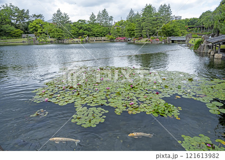 春の徳川園 121613982