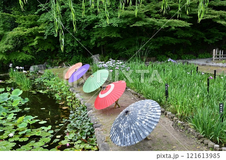 春の徳川園 121613985