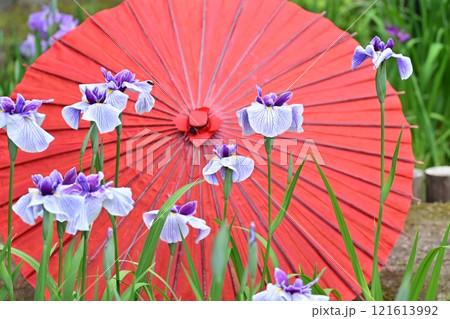 春の徳川園 121613992