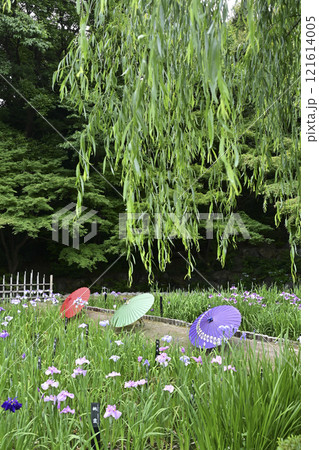 春の徳川園 121614005