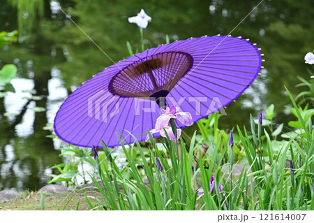 春の徳川園 春の徳川園 121614007