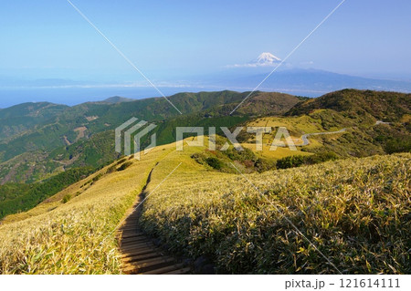 富士山と駿河湾の大パノラマを望む天空の縦走路が続く達磨山登山道からの眺望　Ver3 121614111