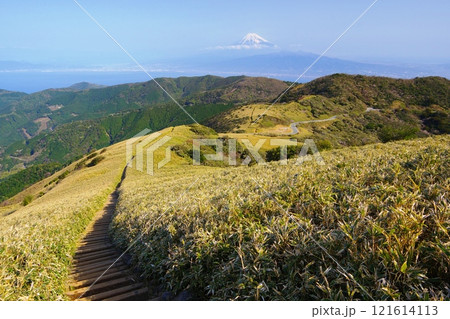 富士山と駿河湾の大パノラマを望む天空の縦走路が続く達磨山登山道からの眺望　Ver1 121614113