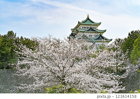 春の名古屋城 121614158