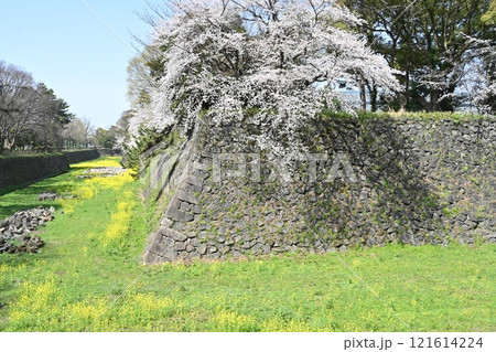 春の名古屋城 121614224