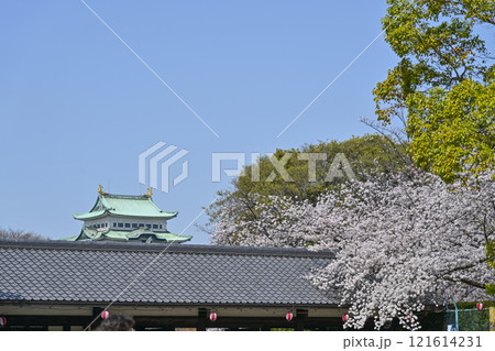 春の名古屋城 春の名古屋城 121614231