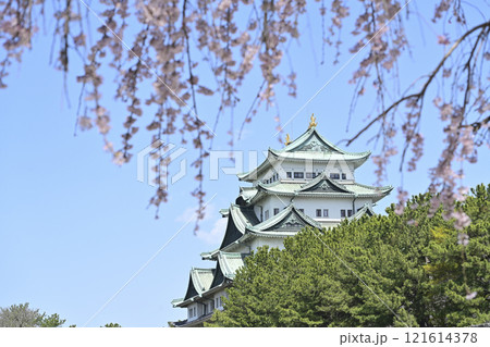 春の名古屋城 121614378