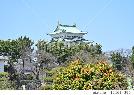 春の名古屋城 121614396