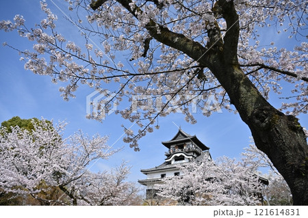 国宝犬山城 121614831